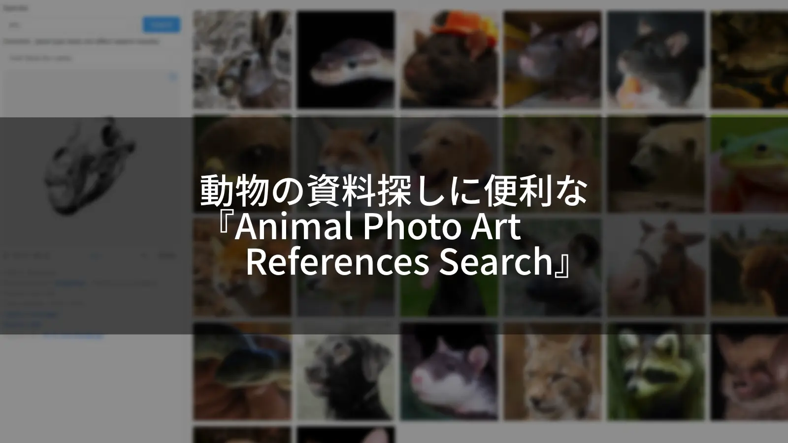 創作に役立つ！動物の資料探し便利な『Animal Photo Art References Search』